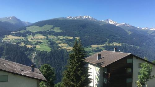 Tavanasa Apartment | Hoch über dem Rheintal