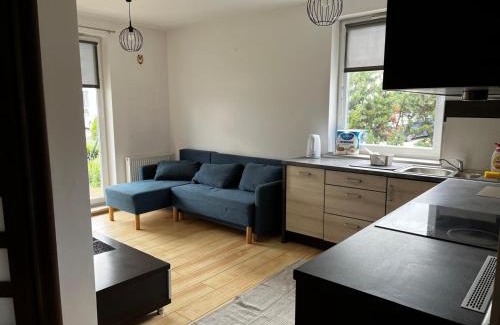 Orunia-St. Wojciech-Lipka Apartment | Hokejowa 18