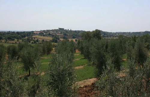 Marciano della Chiana Apartment | Holiday apartment Marciano della Chiana for 1 - 5 persons with 2 bedrooms - Holiday apartment