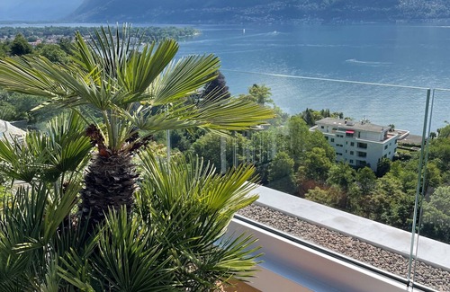 Ascona Apartment | Holiday apartment Ascona for 1 - 2 persons with 1 bedroom - Holiday apartment in one or multi-family