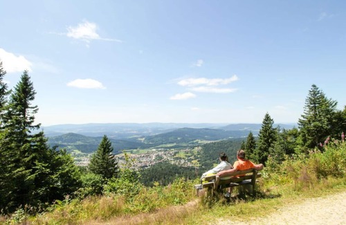 Bodenmais House | Holiday apartment Kirchberger