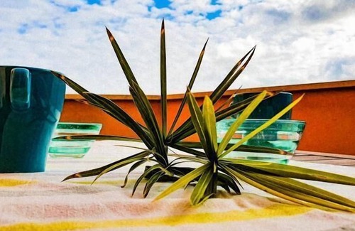Cavo Apartment | Holiday apartment Rio Marina for 1 - 8 persons with 2 bedrooms - Holiday apartment