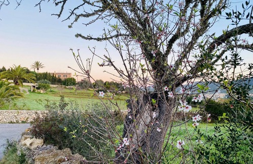 Son Macia Apartment | Holiday apartment Son Macià for 1 - 2 persons with 1 bedroom - Holiday apartment in one or multi-fam