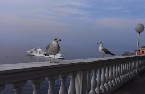 Sorrento Apartment | Holiday apartment Sorrento for 1 - 4 persons with 2 bedrooms - Twin house