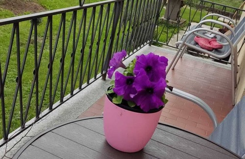 Madonna di Tirano Apartment | Holiday apartment Tirano, station and services: the base for Valtellina