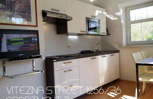 Karlovy Vary Apartment | Holiday Apartments Vítězná 1256/36
