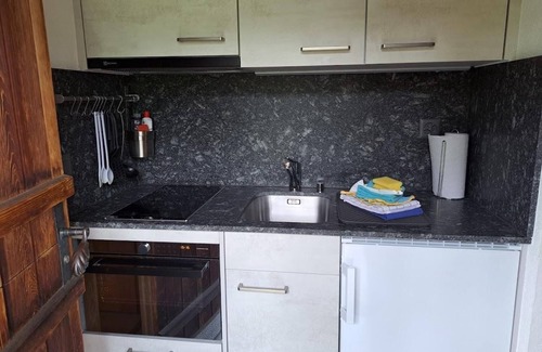 Fiesch Apartment | Holiday flat at Gibelsbach