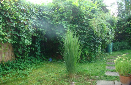 Steckborn Apartment | Holiday flat on the shores of Lake Constance