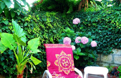 Barano d'Ischia Apartment | Holiday flat with nice and sunny terrace Ischia Island