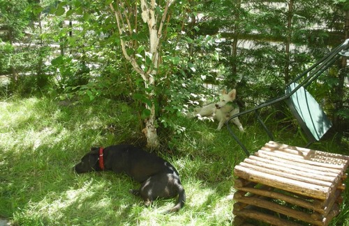 Epinel Apartment | Holiday flat with mountain view