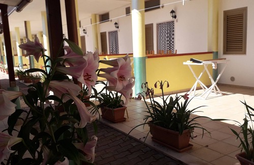 Peschici House | Holiday Home 'Bilo 1' with Private Terrace, Shared Garden and Wi-Fi