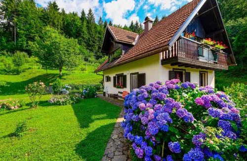 Brod na Kupi House | Holiday Home Božica by Interhome