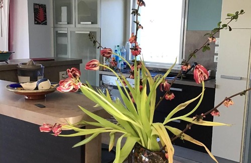 Plougastel-Daoulas House | Holiday home "Kermajo" near the beach