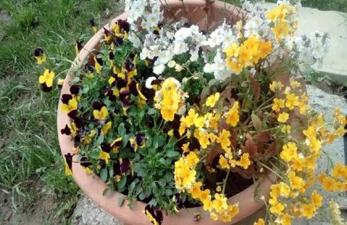 Presika House | Holiday Home in Bunjevci with Sauna & Garden