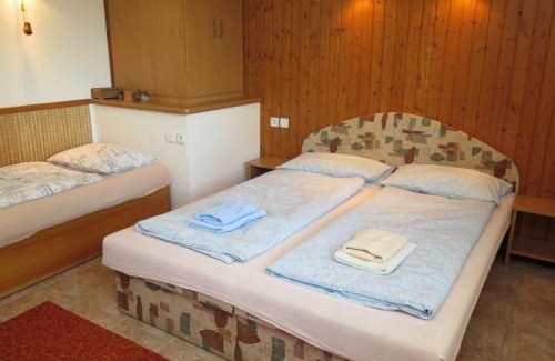 Dolni Bojanovice House | Holiday Home Vinarska by Interhome