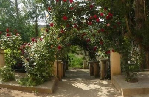 Ainzon House | Holiday house Ainzon for 1 - 6 persons with 3 bedrooms - Casa Rural