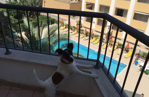 Il Monte Apartment | HOLIDAY HOUSE -GALLIPOLI-THREE-ROOM APARTMENT IN ROSA VIRGINIA RESIDENCE AT 150 MT FROM THE SEA