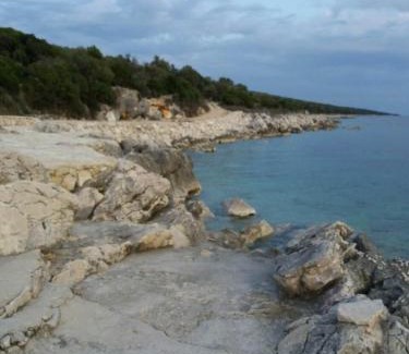 Lun House | Holiday house with a swimming pool Lun, Pag - 18321