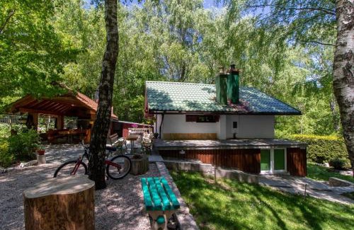 Breze House | Holiday house with a swimming pool Breze, Novi Vinodolski - 20493