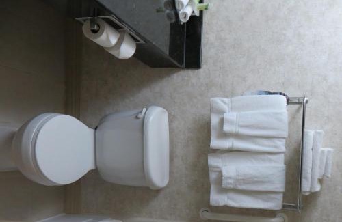 Hobbs Hotel | Holiday Inn Express Hotel & Suites Hobbs by IHG