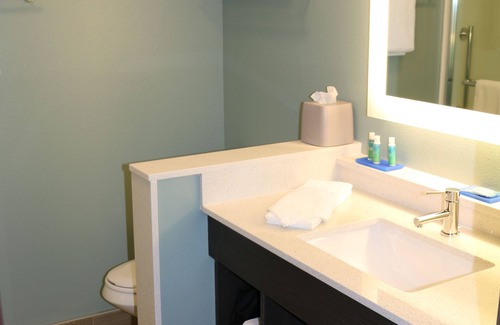 Flat Rock Hotel | Holiday Inn Express & Suites Hendersonville SE - Flat Rock by IHG