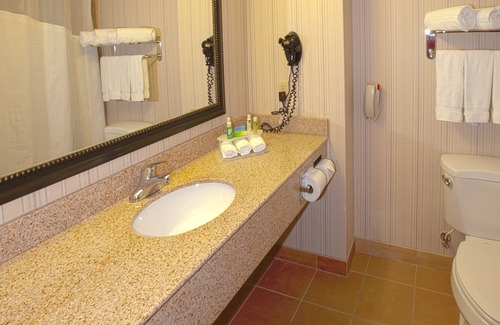 Nampa Hotel | Holiday Inn Express & Suites Nampa - Idaho Center by IHG
