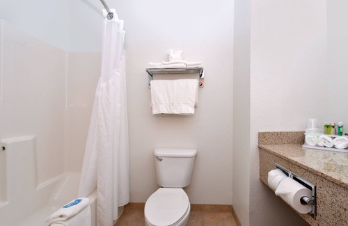 West Omaha Hotel | Holiday Inn Express & Suites Omaha West by IHG
