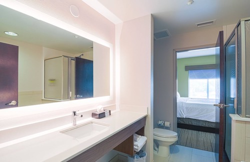 Bearss Plaza Hotel | Holiday Inn Express & Suites Tampa USF Busch Gardens by IHG