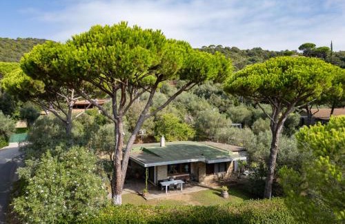 Castiglione della Pescaia House | Holiday Home Villa Anna by Interhome