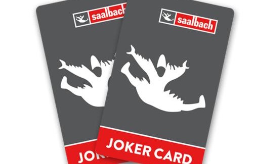 Wiesern Apartment | Holiday Lodge Fürst