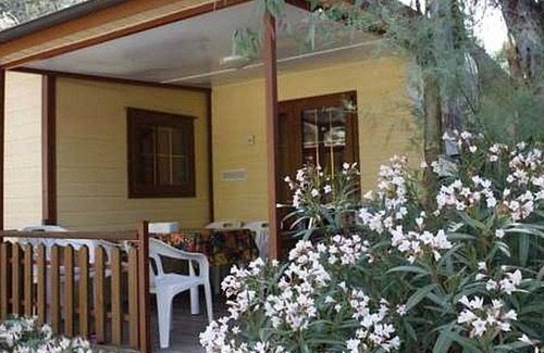 Vada House | Holiday park Baia del Marinaio - Bungalow Deluxe Sa / Sa PET OLX (2769)