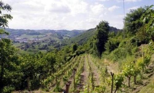 Urbino House | Holidays Catassino