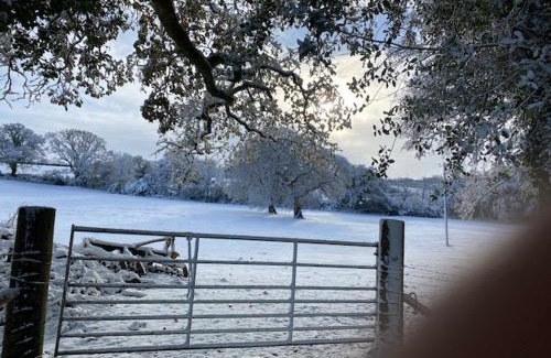 South Tawton Bed & Breakfast | Holland Park Farm