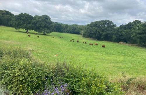 South Tawton Bed & Breakfast | Holland Park Farm