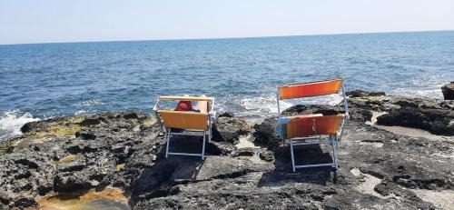 Torre Canne Apartment | Home Consoli Aquarium