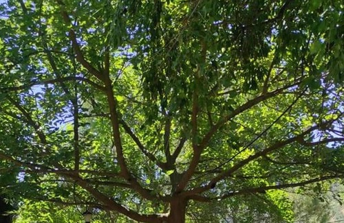 Sorihuela del Guadalimar Villa | Homerez - Big villa for 16 ppl. with swimming-pool at Sorihuela del Guadalimar