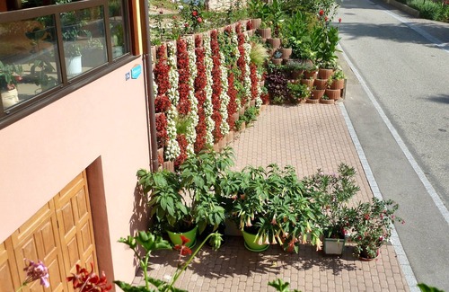 Bernardville Apartment | Homerez - Apartment in Bernardvillé