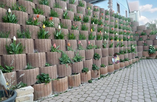 Bernardville Apartment | Homerez - Apartment in Bernardvillé