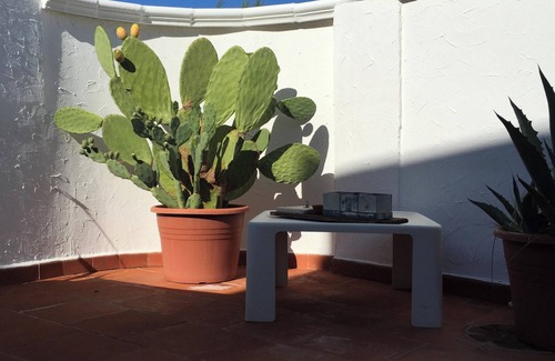 Rosa Marina House | Homerez - Charming house in Rosa Marina with garden