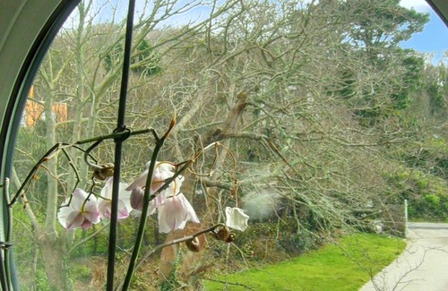 Plougastel-Daoulas House | Homerez - House with Sea View in Plougastel-Daoulas