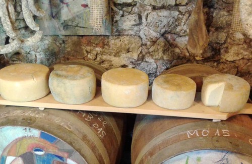 Cres House | Homerez - House 3 km away from the beach for 4 ppl. with garden at Filozici