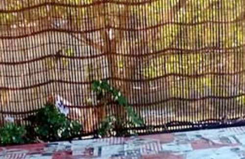 Ascea House | Homerez - House 5 km away from the beach for 4 ppl. with terrace at Ascea