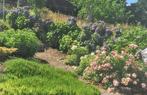 Chateaulin House | Homerez - House in Châteaulin.
