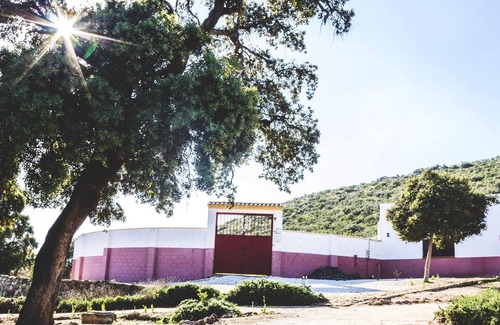 Estepa House | Homerez - Nice house for 6 ppl. with shared pool and terrace at Estepa