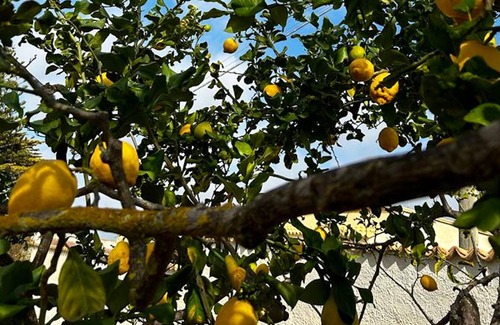 Tre Fontane House | Homerez - Spacious house near the beach and the terrace