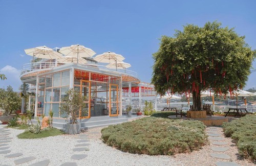 Da Lat Apartment | Homestay Acacia Đà Lạt