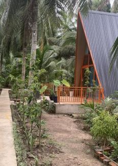Ben Tre Bed & Breakfast | Homestay and Tour Ben Tre