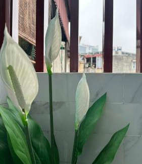 Ba Dinh House | Homestay-kim mã -giang văn minh