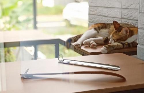 Taitung House | HomeStay LB