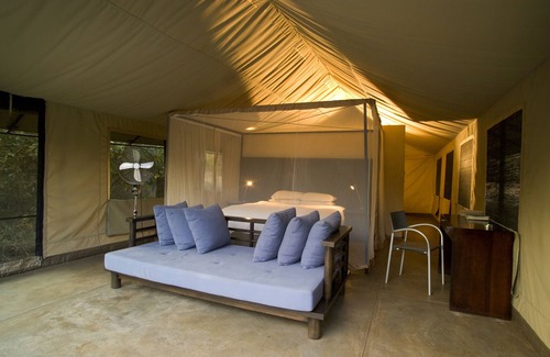 Thorny Bush Game Reserve Other | Honeyguide Khoka Moya Camp